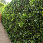 Artificial vertical garden panel by Designer Plants USA, 40x40 inches, UV resistant, suitable for commercial living wall installations.