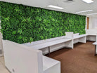 Artificial green wall panel by Designer Plants USA, installed as a living wall in an office setting, UV resistant, 40x40 inches.