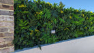 Artificial Hawaiian Sunrise flowering green wall panel by Designer Plants USA, UV resistant living wall for rooftop gardens.