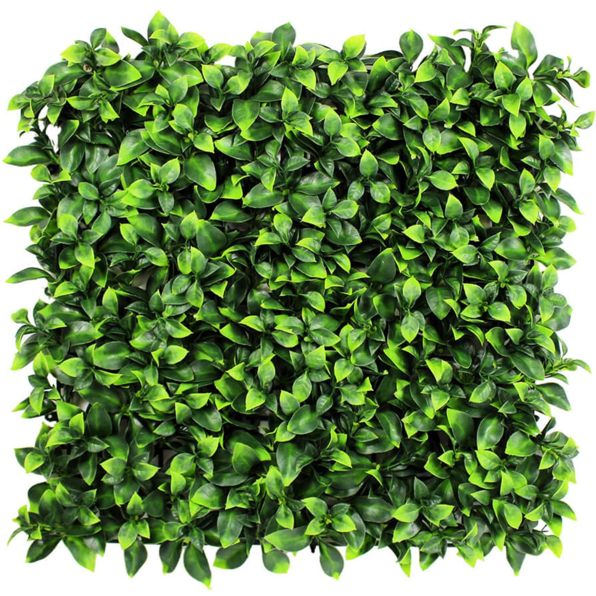 Artificial jasmine ivy vertical garden panel by Designer Plants USA, UV-resistant green wall with lush foliage, 40x40 inches.