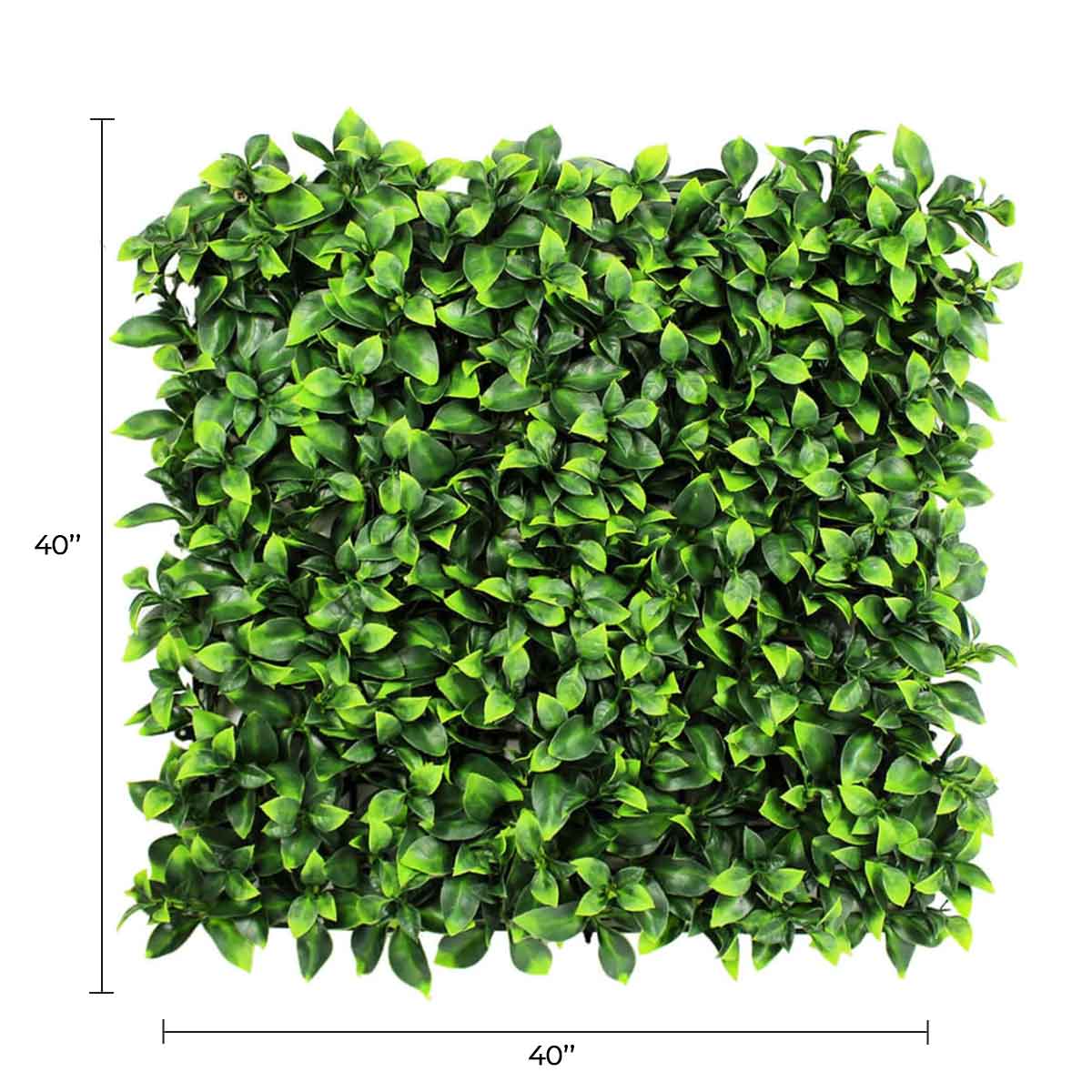 Artificial Jasmine green wall panel for living walls, UV resistant, 40x40 inches, commercial grade by Designer Plants USA