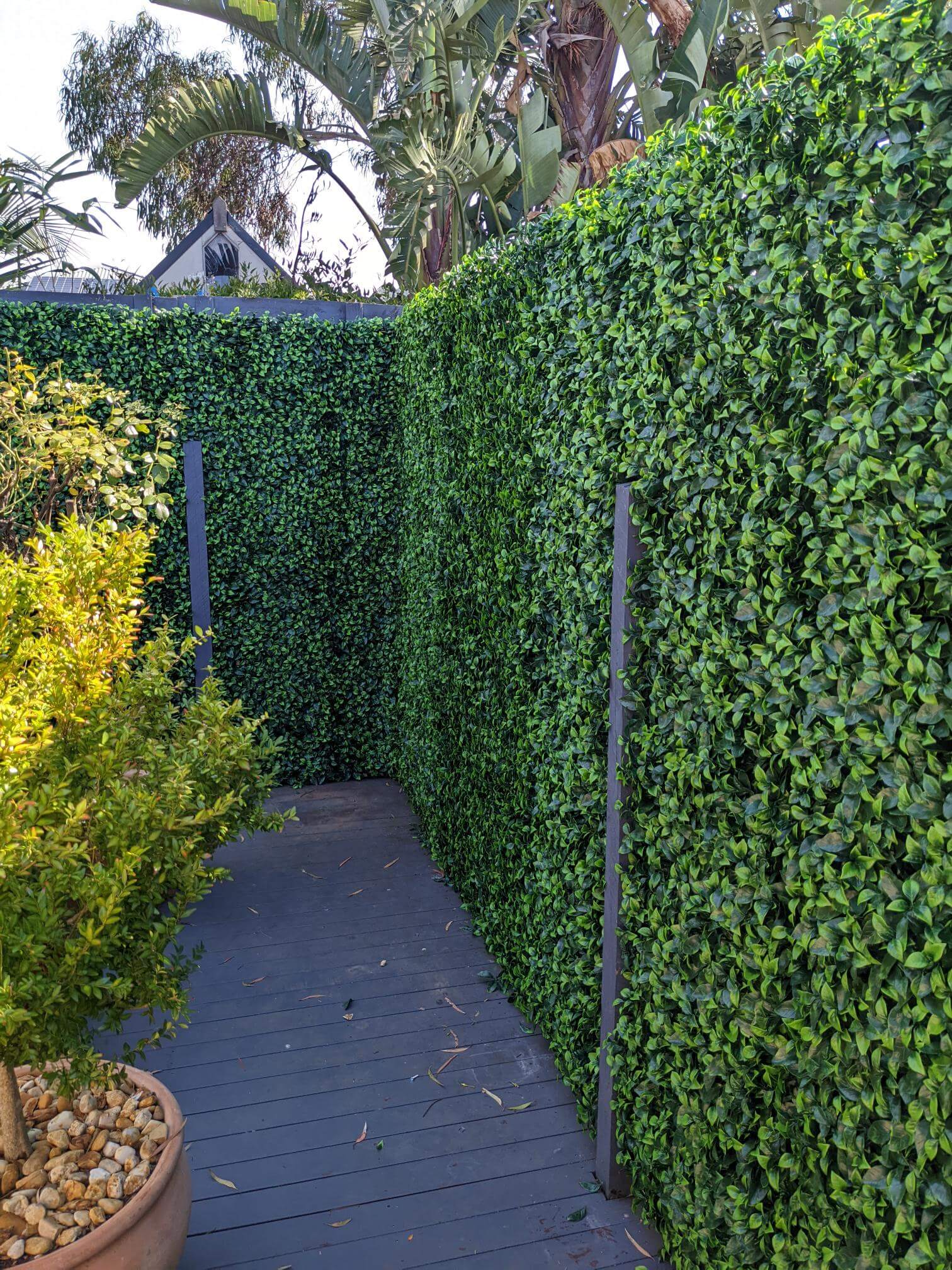 Artificial jasmine leaf green wall panel for vertical gardens, 40x40 inches, UV resistant, commercial-grade living wall from Designer Plants USA.