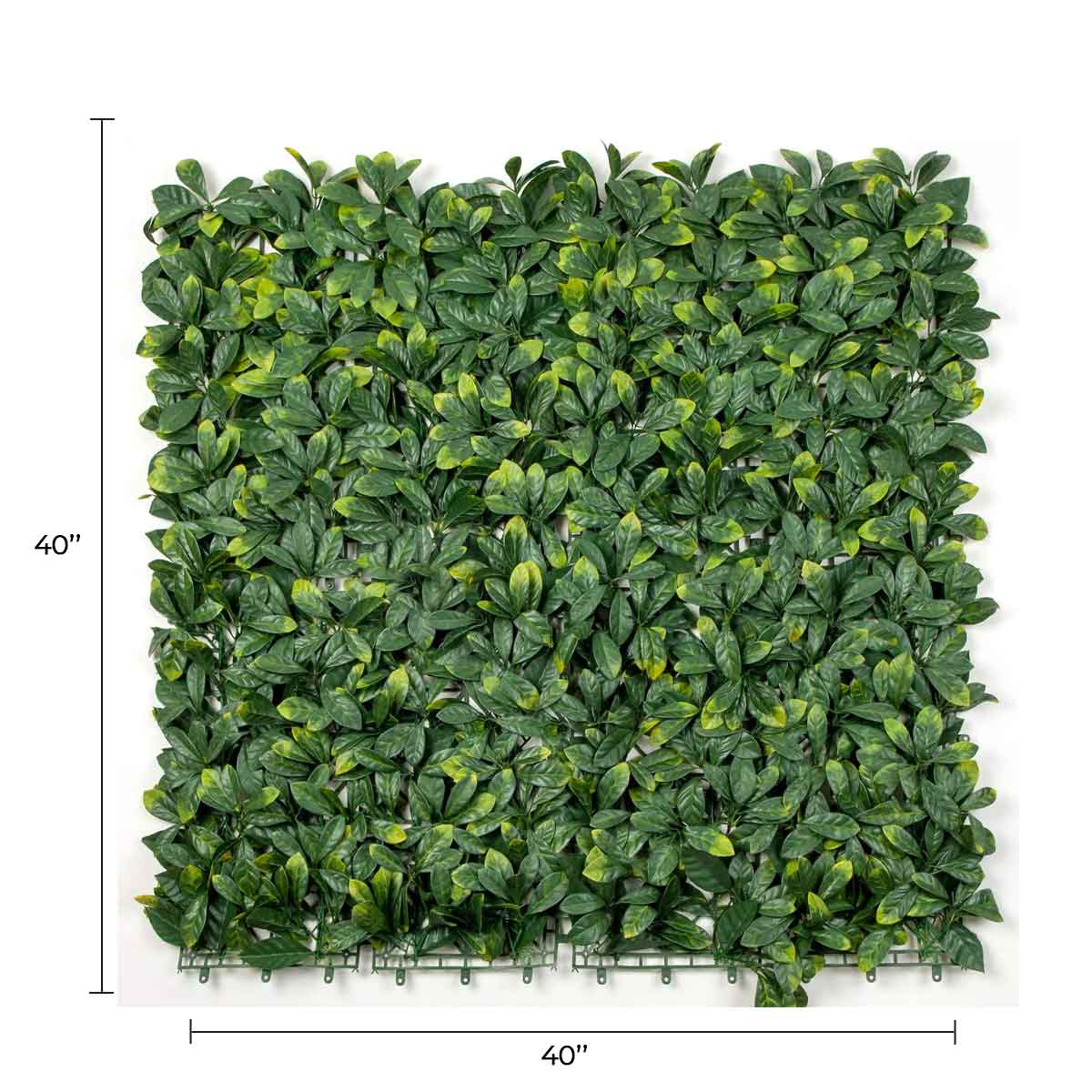 Artificial Laurel Vertical Garden Wall Panel by Designer Plants USA, UV-resistant living wall for commercial or decorative indoor use.