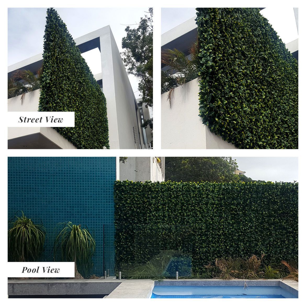 Artificial green wall panel by Designer Plants USA, 40x40 inch vertical garden for pools, UV resistant, commercial-grade living walls.
