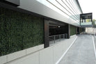 Artificial Laurel hedge panel for vertical garden, UV resistant, 40x40 inches, commercial grade living wall from Designer Plants USA.
