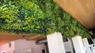 Artificial green wall panel for living walls, 40x40 inches, UV resistant, commercial grade, designed for lush vertical garden displays.