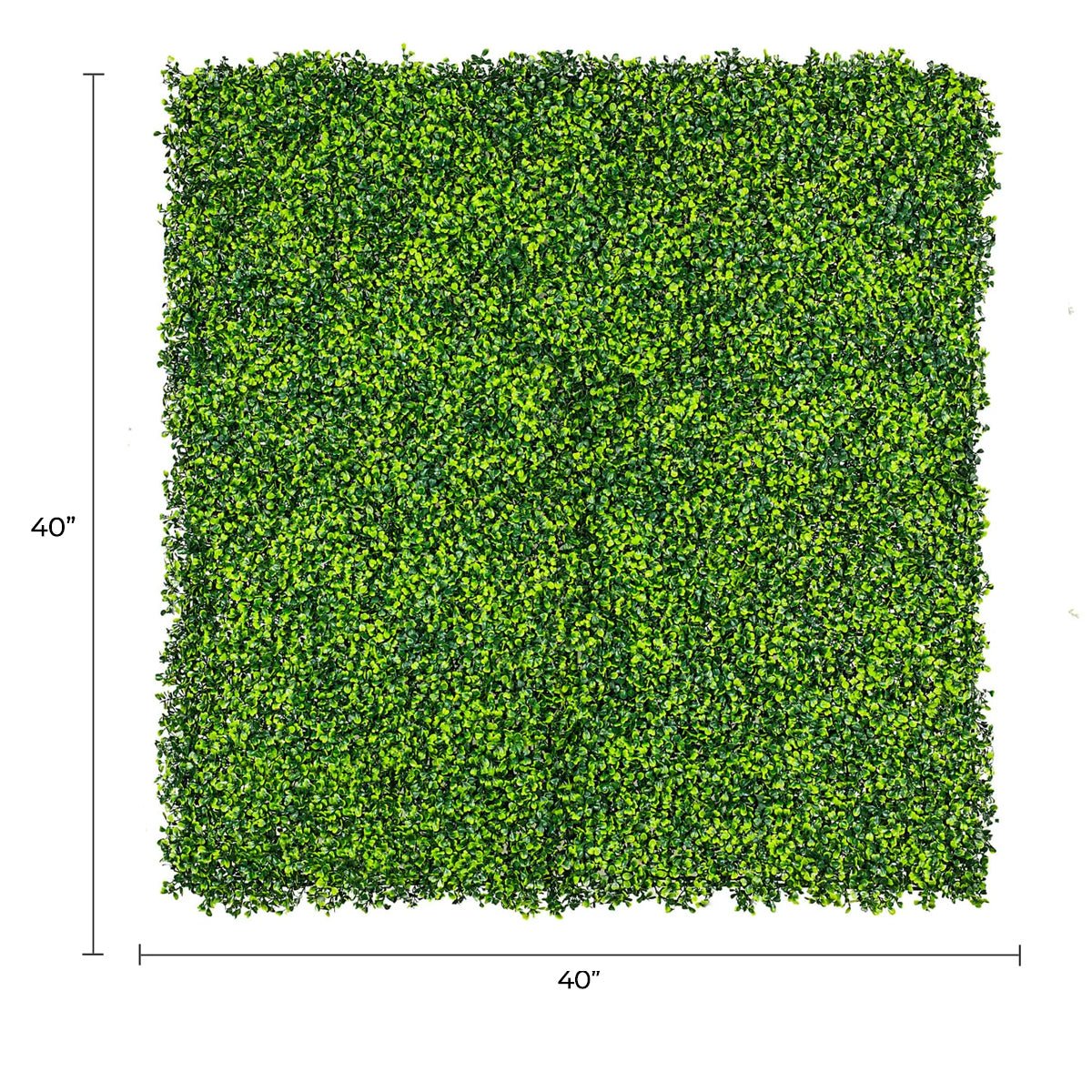 Artificial mixed boxwood hedge panel for living walls, UV resistant, 40x40 inches, commercial grade green wall from Designer Plants USA.