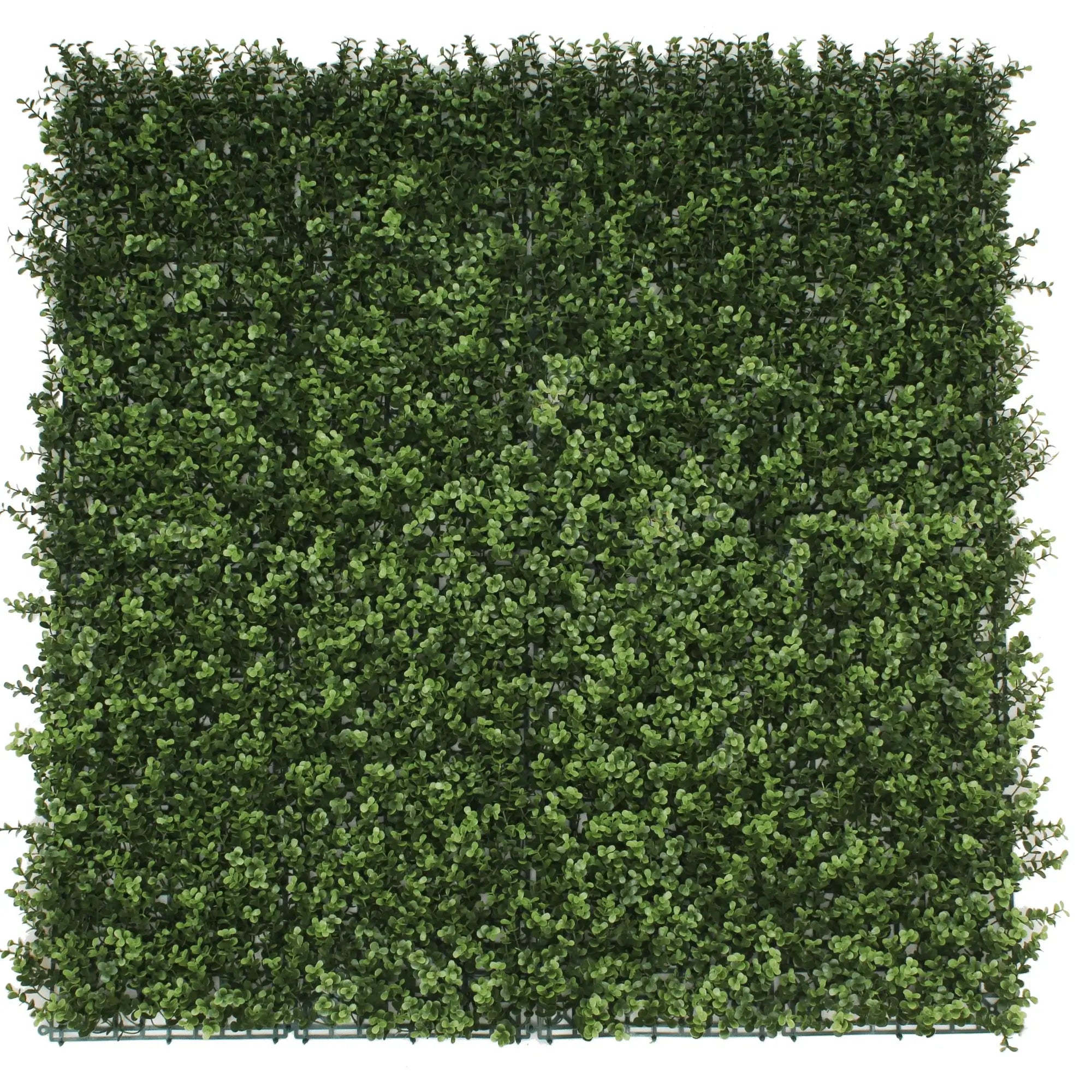 Artificial boxwood vertical garden wall panel by Designer Plants USA, UV resistant, 40x40 inches, perfect for living wall installations.