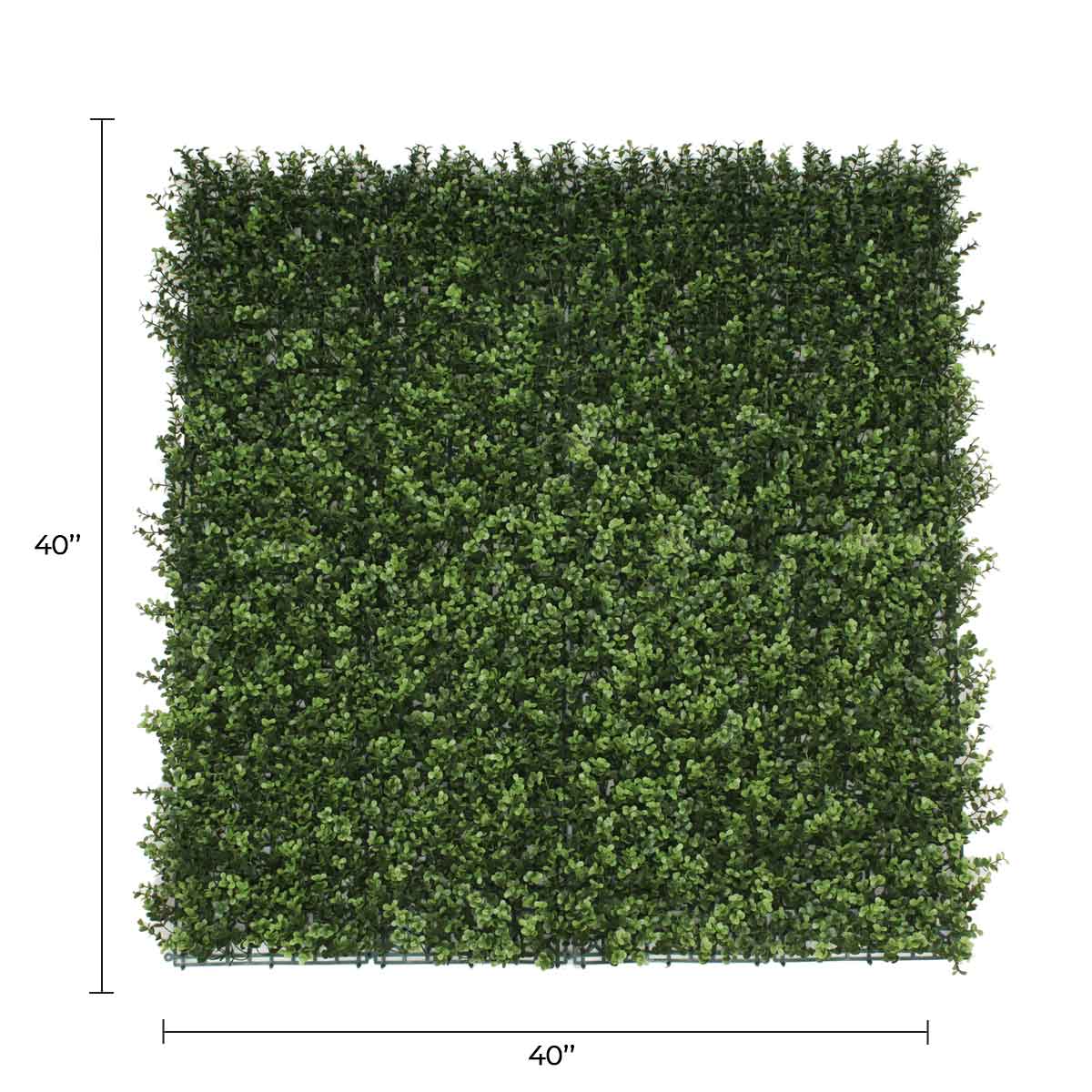 Artificial boxwood vertical garden wall panel by Designer Plants USA, UV resistant, 40x40 inches, suitable for commercial living walls.