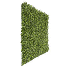 Natural boxwood artificial vertical garden wall panel from Designer Plants USA, UV resistant, 40x40 inch living wall for commercial use