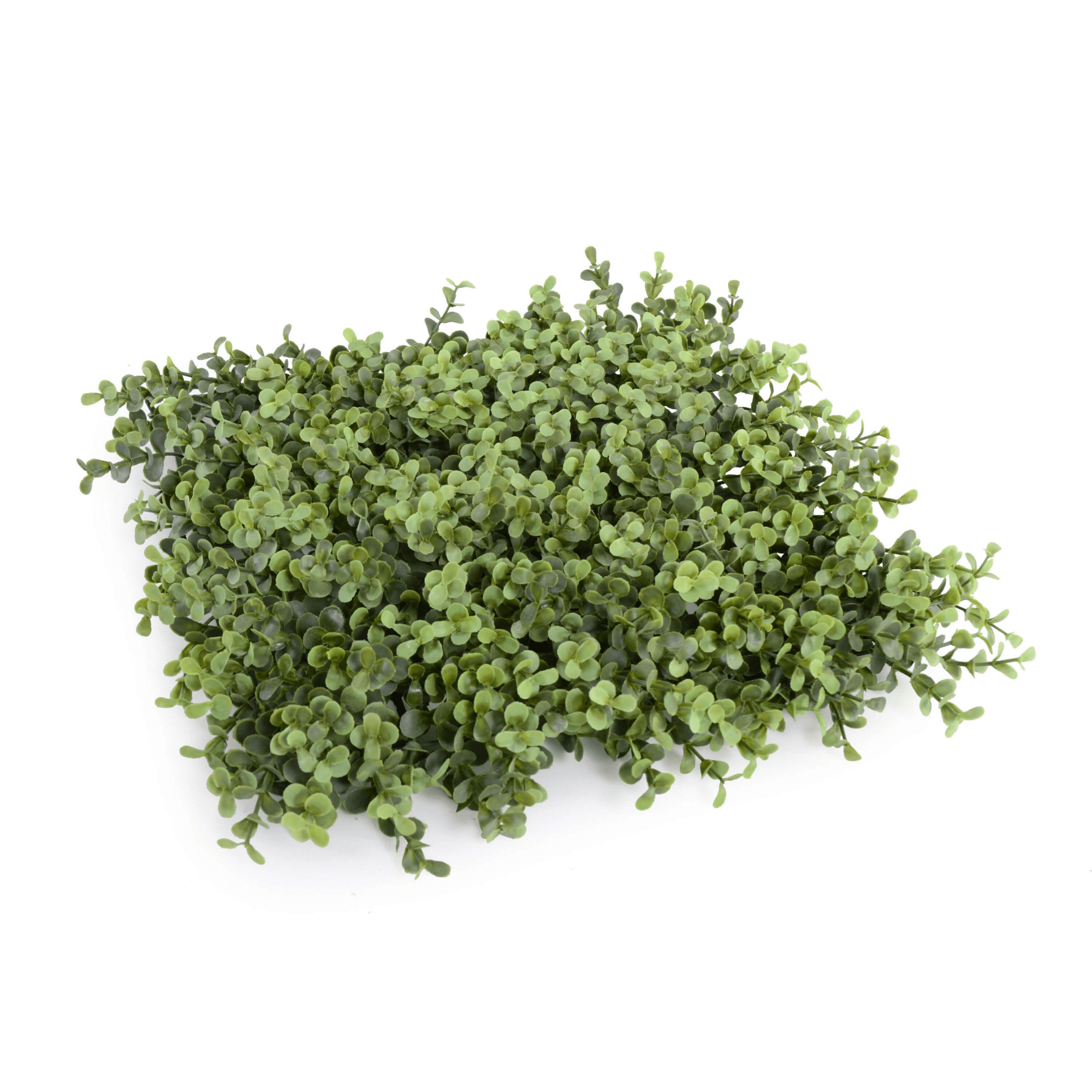 Artificial boxwood vertical garden panel by Designer Plants USA, UV resistant, 40x40 inch living wall for commercial or decorative use.