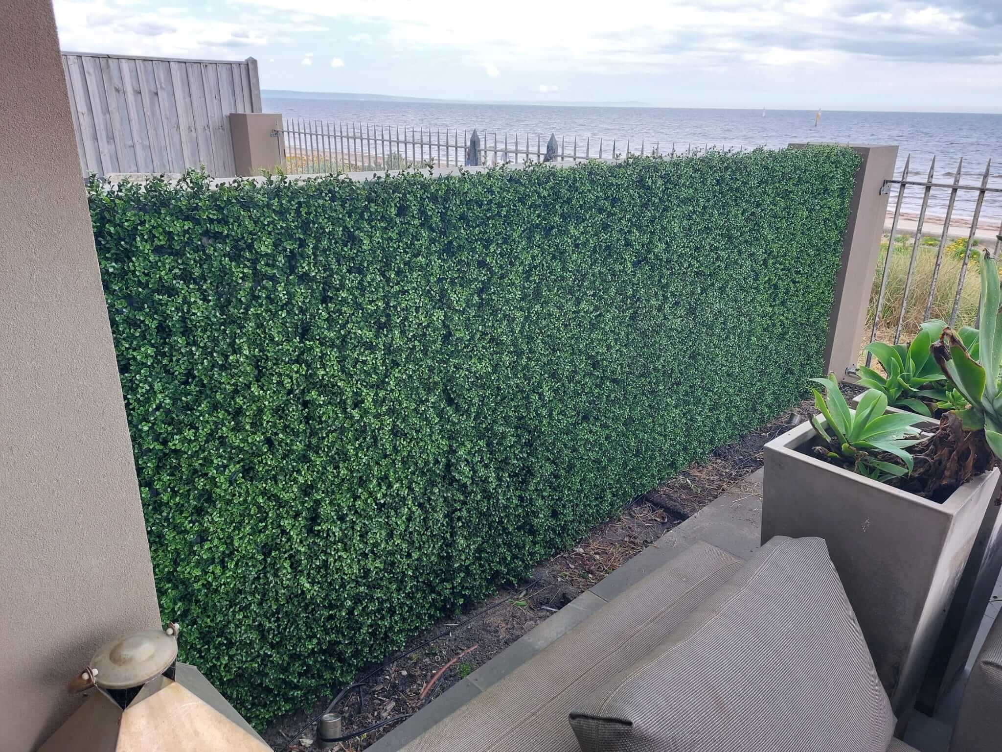 Artificial boxwood hedge panel from Designer Plants USA, 40x40 inch living wall with UV-resistant, commercial-grade green wall installation.