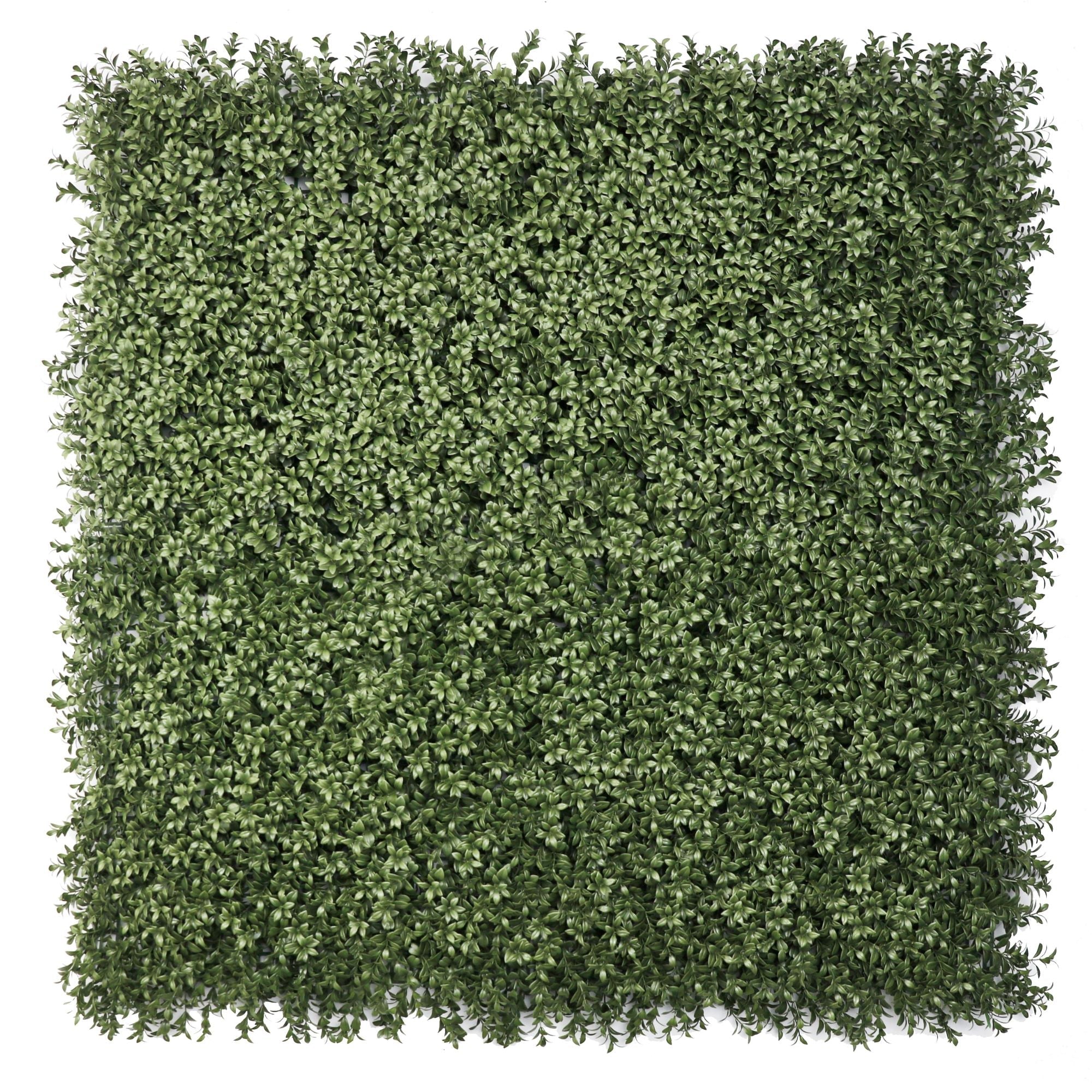 Artificial boxwood vertical garden panel with dense greenery, UV resistant, fire-rated, 40x40 inches, designed for outdoor living walls.