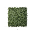 Dark green dense boxwood foliage vertical garden wall panel by Designer Plants USA, UV resistant, fire rated, 40×40 inches.