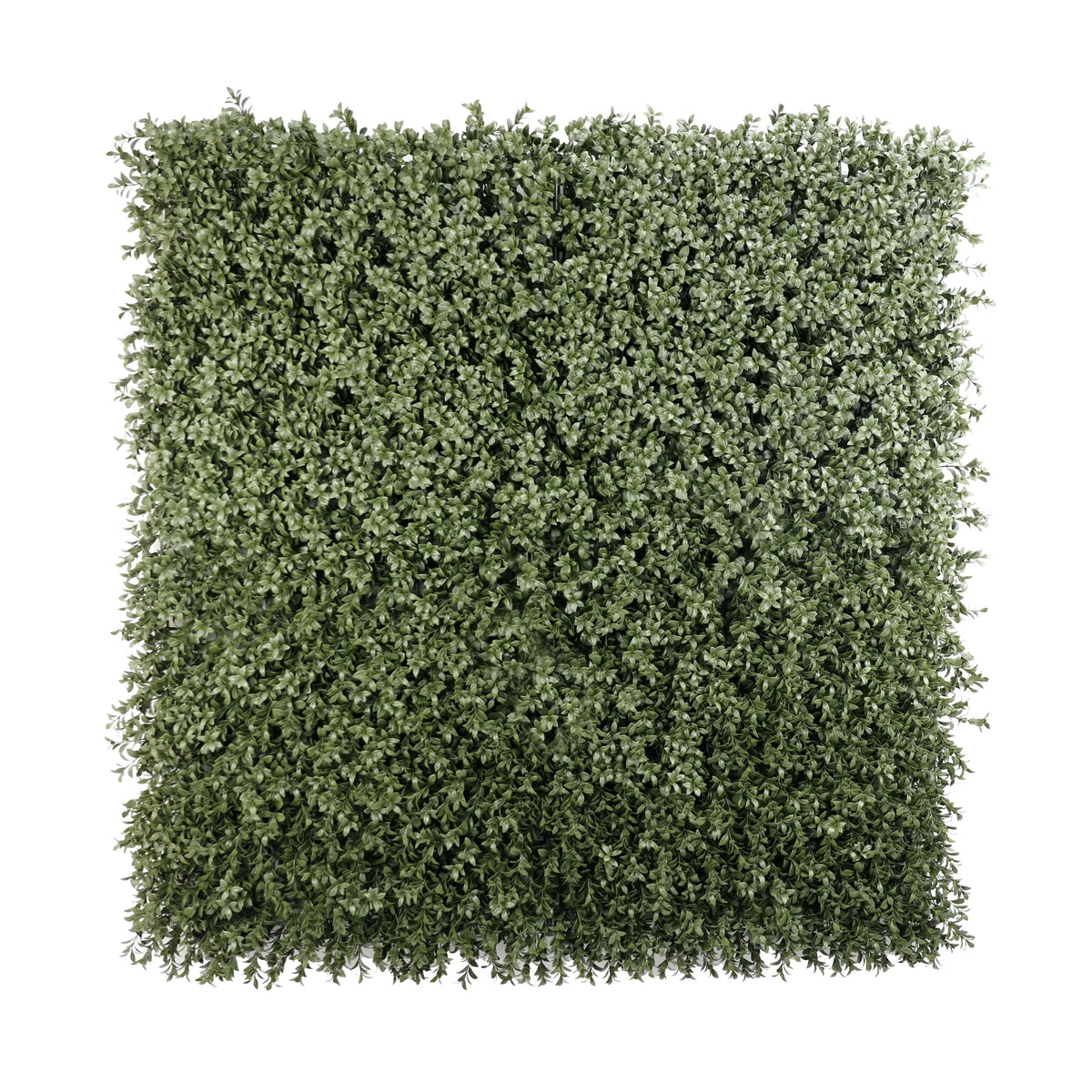 Artificial dark green boxwood vertical garden panel by Designer Plants USA, fire-resistant, UV protected, perfect for living walls.