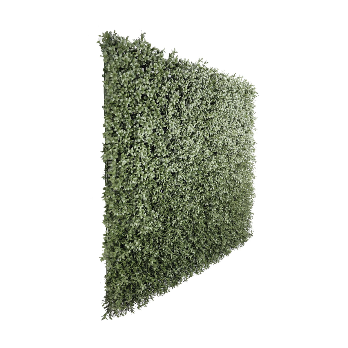 Artificial dark green boxwood living wall panel by Designer Plants USA, UV resistant, fire-rated, 40x40 inch vertical garden panel.