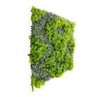 Artificial green wall panel from Designer Plants USA, featuring natural green and white moss for vertical garden displays.