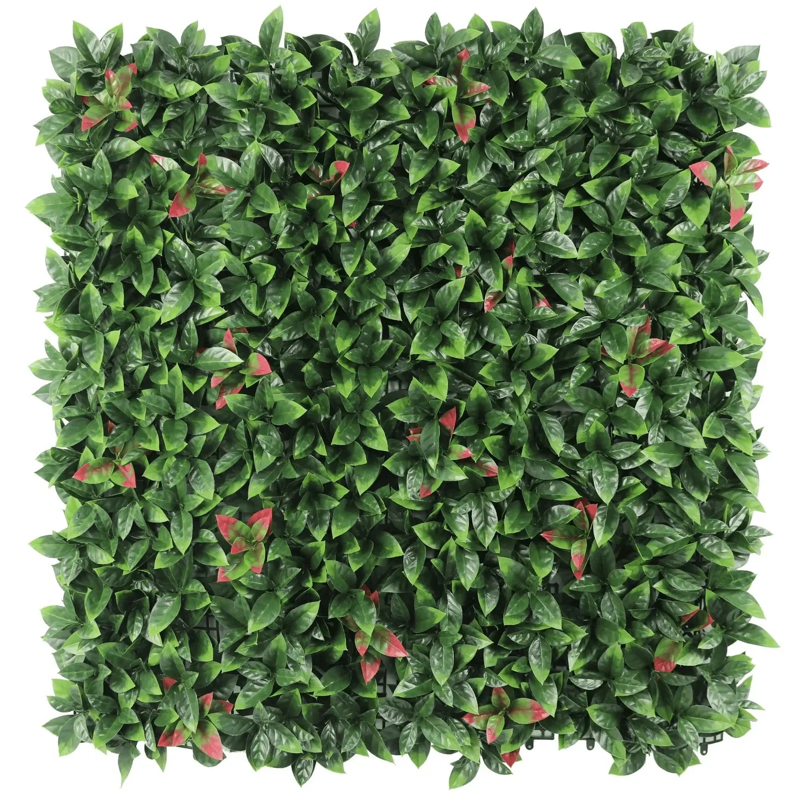 Photinia artificial green wall panel with red robin hedge leaves, UV resistant, 40x40in, designed for vertical living wall installations.