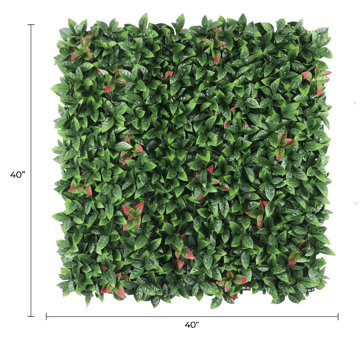 Artificial Photinia hedge panel for living wall, 40x40 inches, UV resistant, commercial-grade green wall from Designer Plants USA.
