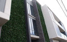 Photinia artificial vertical garden wall panel by Designer Plants USA, UV resistant living wall with lush green foliage, 40x40 inches.