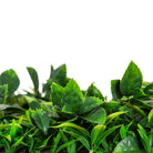 Pink Sensation artificial vertical garden green wall panel by Designer Plants USA, UV resistant living wall with lush pink and green foliage.