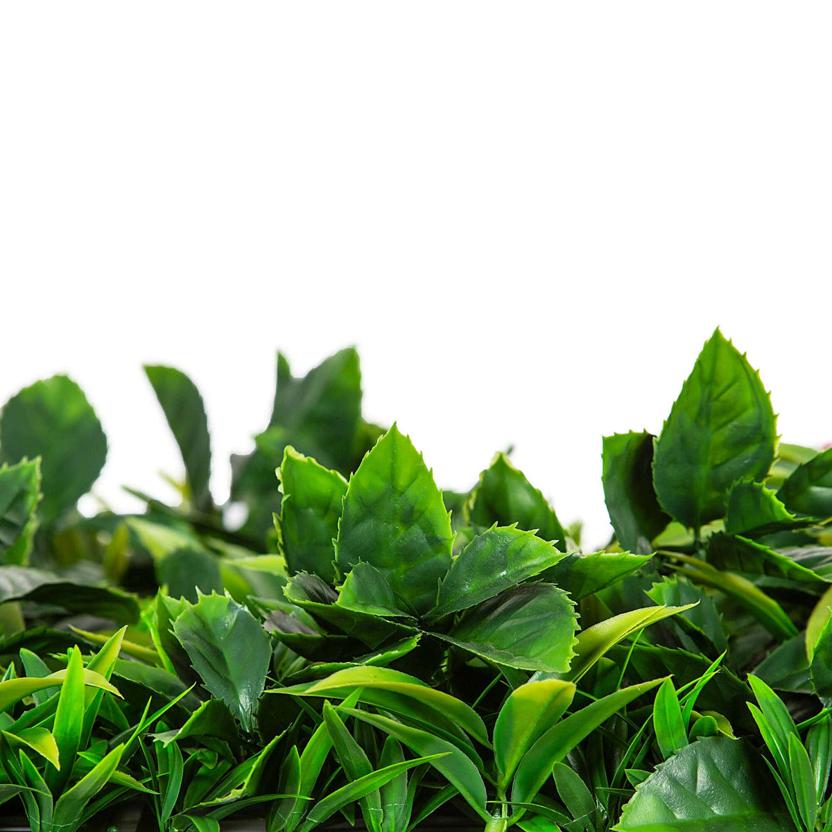 Pink Sensation artificial vertical garden green wall panel by Designer Plants USA, UV resistant living wall with lush pink and green foliage.