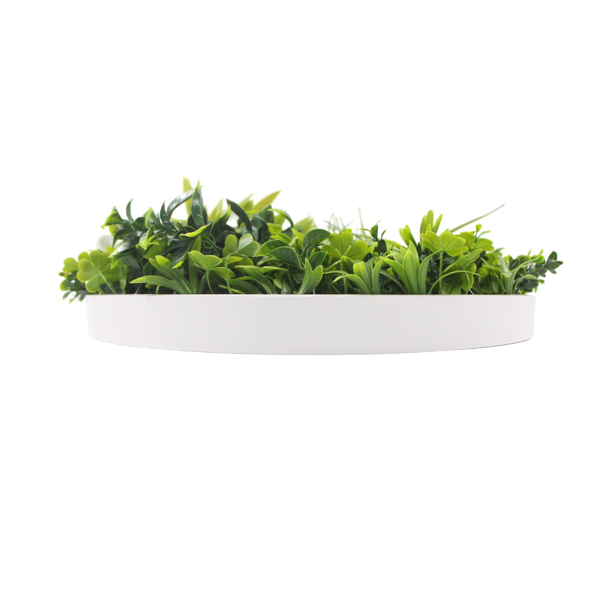 Slimline white flowering artificial green wall disc with white frame, UV resistant living wall from Designer Plants USA, 40 inches.
