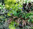 Close-up of lush tropical forest-inspired artificial green wall panel with mixed greenery, UV resistant, fire-rated, Designer Plants USA.