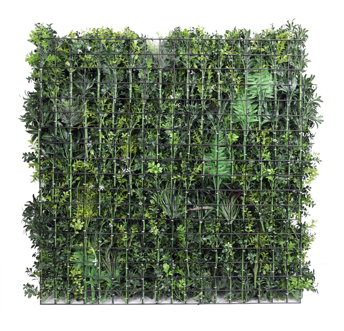 Close-up of vibrant green tropical fern on Designer Plants USA Tropical Vibe artificial vertical garden panel, UV resistant and fire-rated.