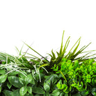 Artificial green wall panel with red grasses, urban greenery foliage, UV-resistant living wall by Designer Plants USA.