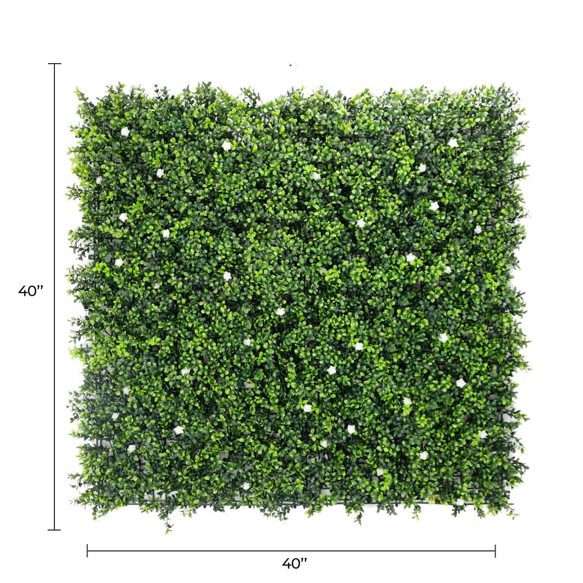 White artificial boxwood flowering wall panel by Designer Plants USA, 40x40 inches, UV resistant, perfect for vertical garden or green wall.