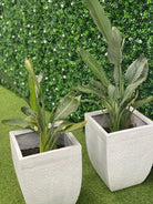 Artificial white flowering boxwood living wall panel by Designer Plants USA, UV resistant, 40x40 inch vertical garden for commercial use.