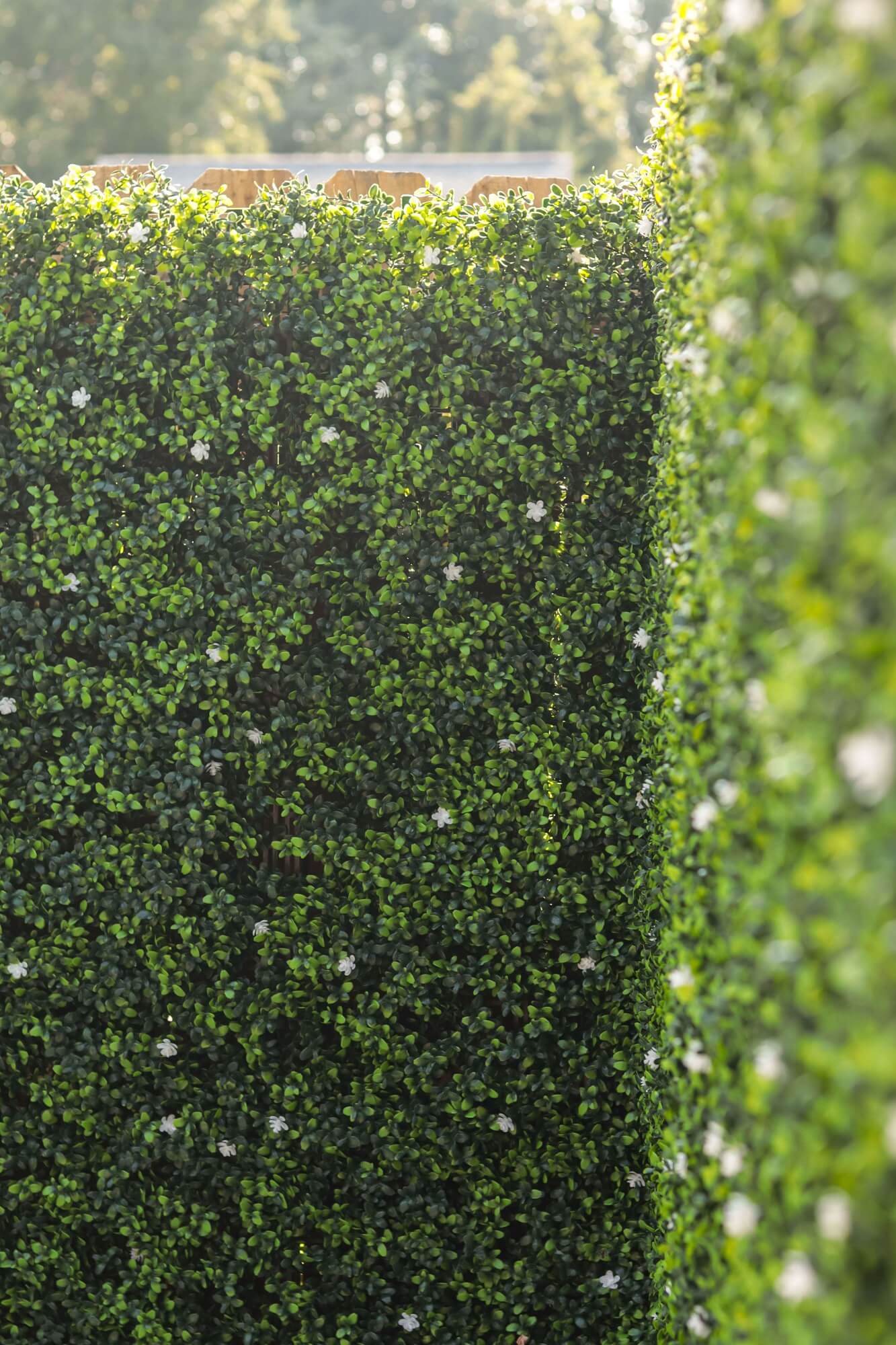 Artificial white flowering boxwood vertical garden panel by Designer Plants USA, 40x40in UV-resistant living wall for privacy and decor.