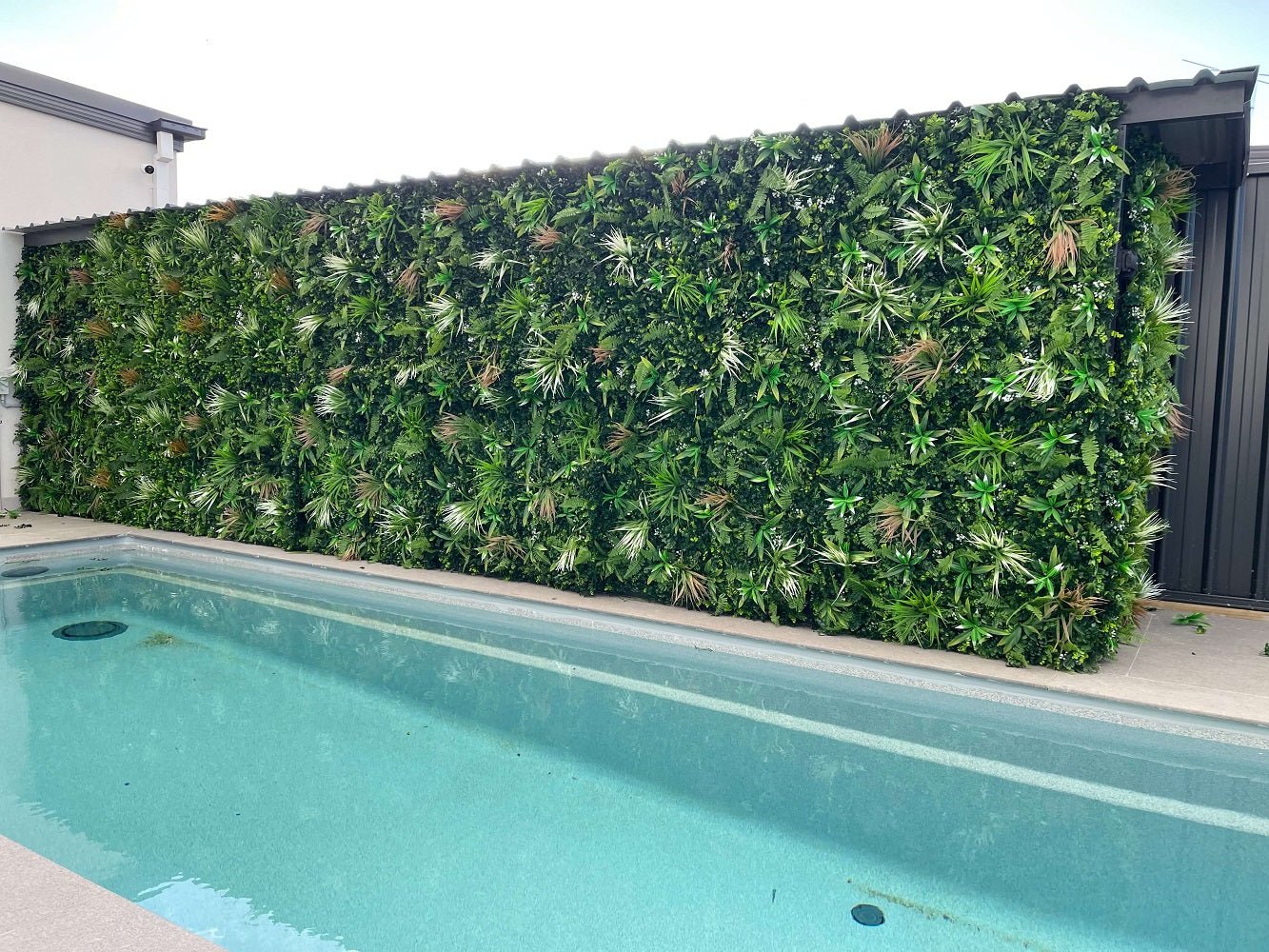 Artificial green wall panel by Designer Plants USA, 40x40 inch living wall with lush greenery, UV resistant for outdoor use along poolside.