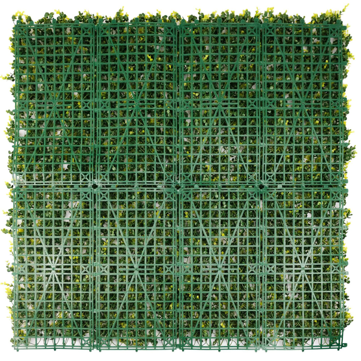 Yellow English Boxwood artificial vertical garden panel with backing mesh, UV resistant, 40x40 inches, for living wall installations.