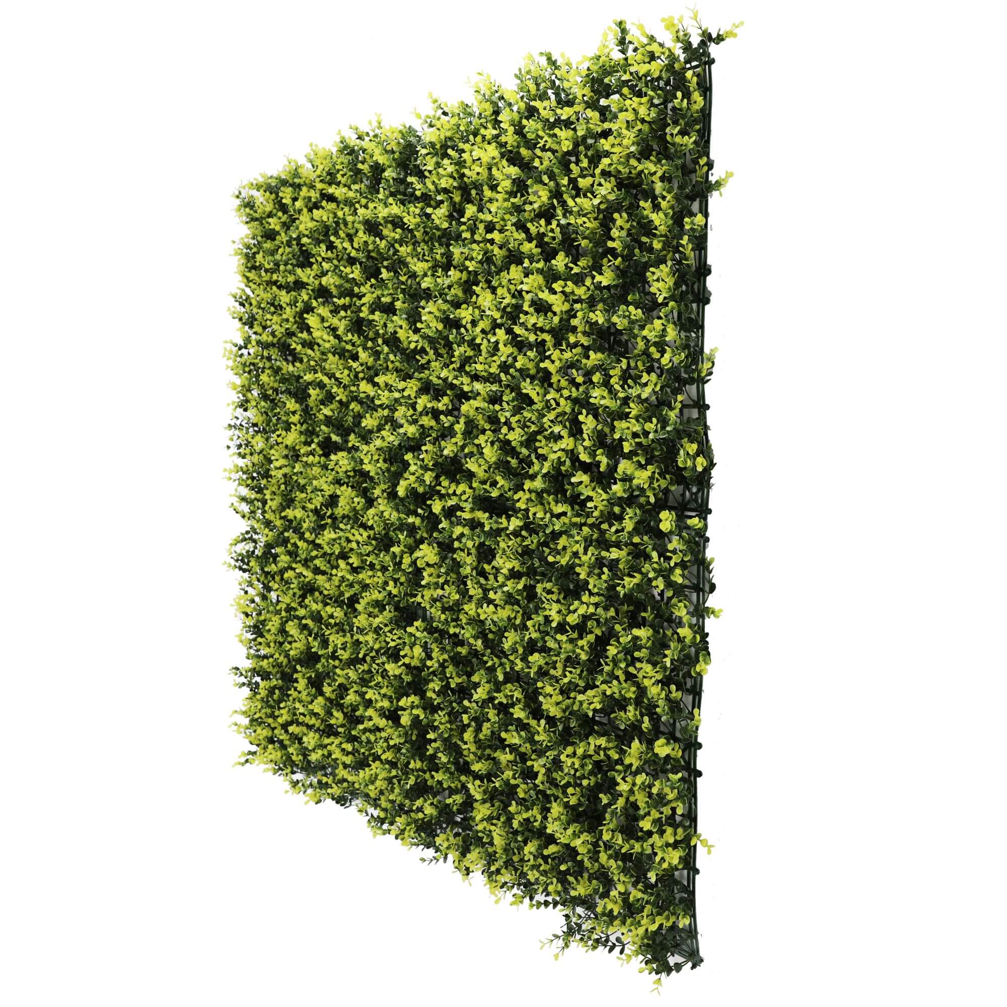 Yellow English Boxwood artificial vertical garden panel by Designer Plants USA, side view, UV resistant, 40x40 inch living wall.