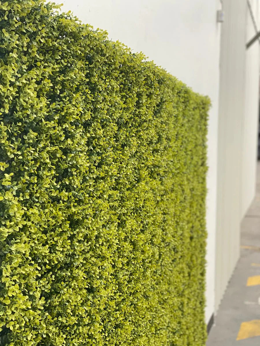 Yellow English Boxwood artificial vertical garden panel by Designer Plants USA, UV-resistant living wall for outdoor or indoor use.