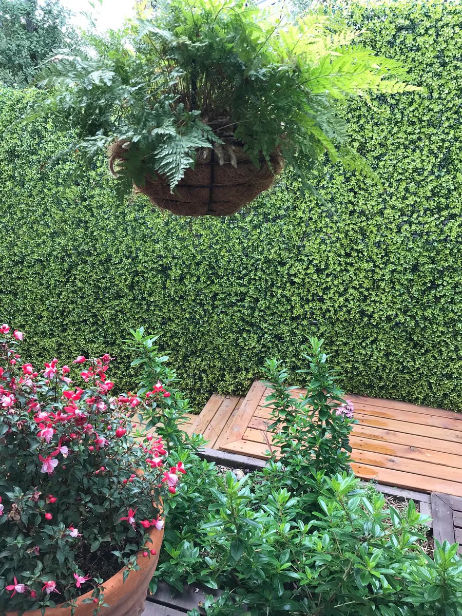 Yellow English Boxwood artificial vertical garden panel by Designer Plants USA, UV resistant, 40x40 inch green wall for commercial use.