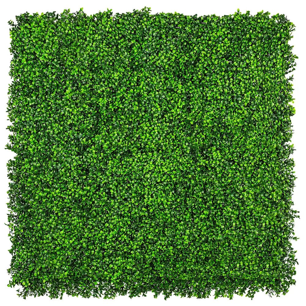 Small sample of Bright Boxwood Green Wall by Designer Plants USA, showing lush green foliage for wall panel design.