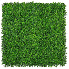 Small sample of Bright Boxwood Green Wall by Designer Plants USA, showing lush green foliage for wall panel design.
