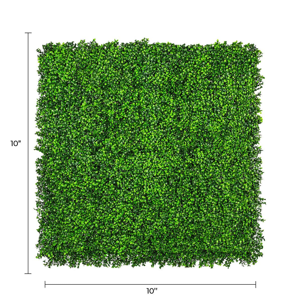 Small sample of Designer Plants USA Bright Boxwood Green artificial wall panel showing lush, vibrant greenery with UV-resistant surface.