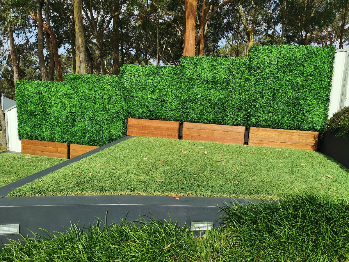Small sample of Designer Plants USA Bright Boxwood Green artificial hedge panel installed outdoors with timber planter base.