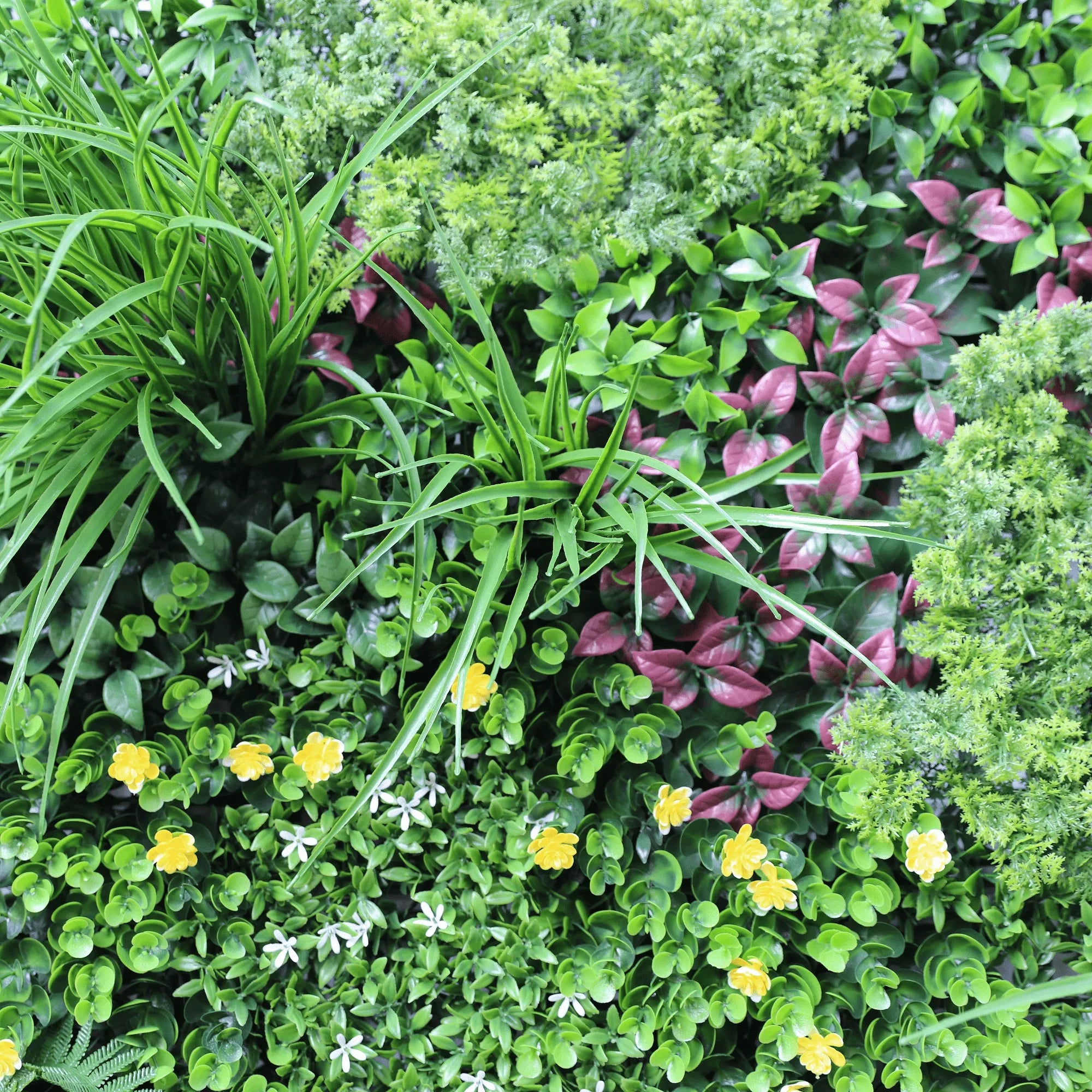 Small sample panel of Designer Plants USA Country Fern Vertical Garden showing lush green fern plants on a panel.