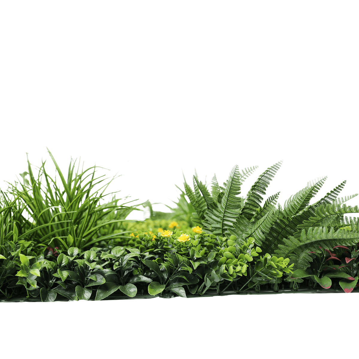 Small sample panel of Designer Plants USA Country Fern vertical garden with lush green fern foliage on a white background.