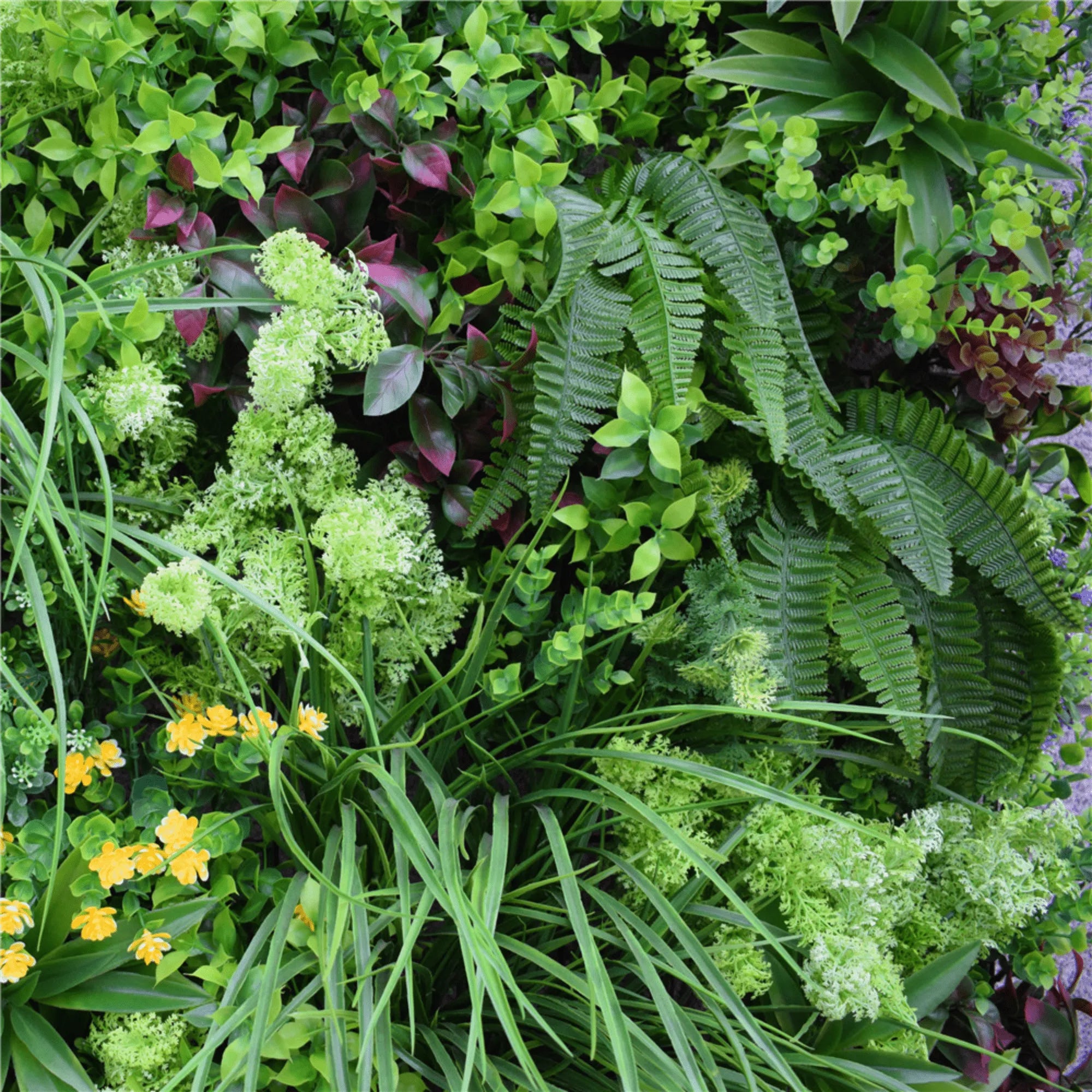 Small sample of Designer Plants USA Country Fern Vertical Garden panel showing lush green fern foliage on a white background.