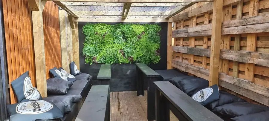 Small sample of Designer Plants USA Country Fern vertical garden panel, featuring lush green fern foliage for indoor wall decoration.