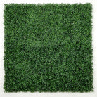 Small sample of dark boxwood green artificial wall panel by Designer Plants USA, showcasing realistic greenery and dense foliage.