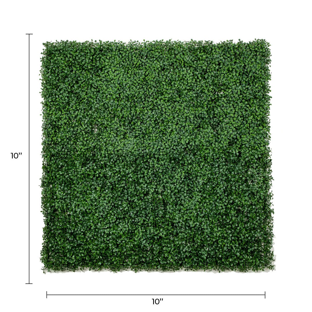 Small sample of Designer Plants USA dark boxwood green artificial wall panel showing lush, dense greenery with UV-resistant finish.