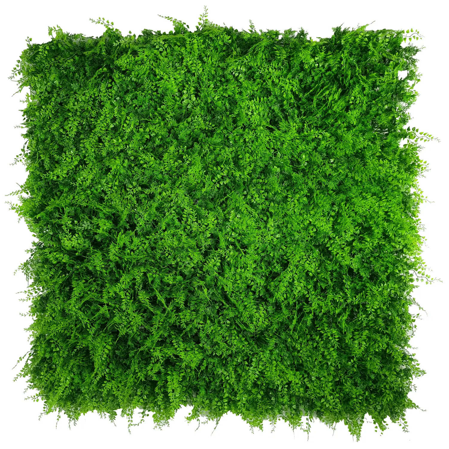 Small sample panel featuring lush fern green artificial plants by Designer Plants USA for wall decor or DIY projects.