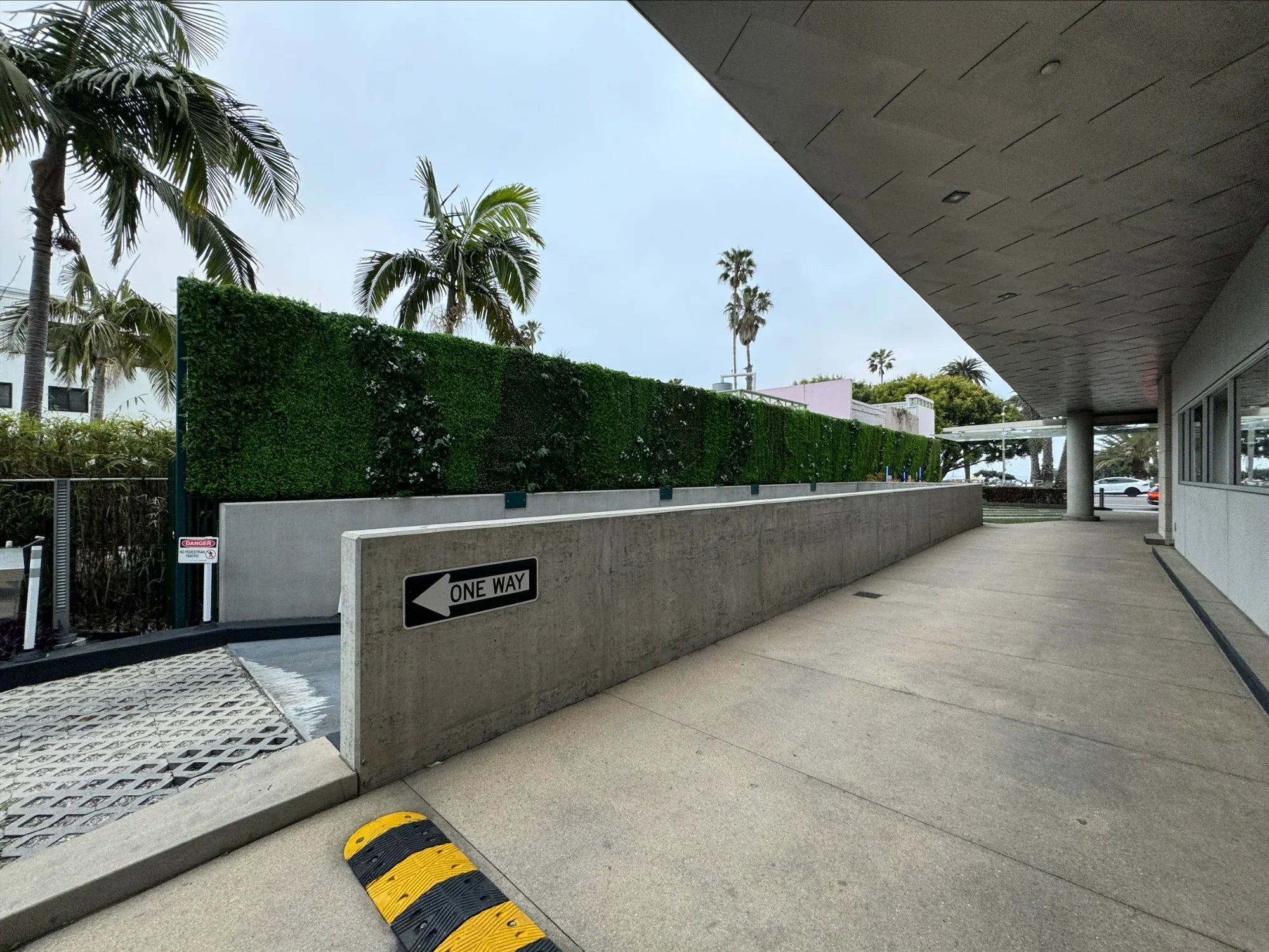 Small sample panel of lush fern green wall from Designer Plants USA, showcasing vibrant greenery and textured foliage for interior decor.